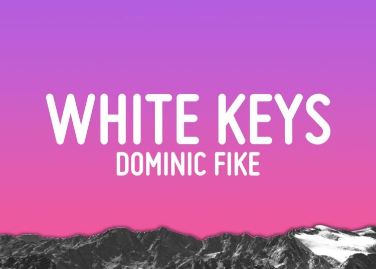 Dominic Fike – white keys (Lyrics)