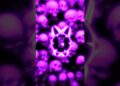 VOCE NA MIRA JUMPSTYLE (Ultra Slowed)🎧🎶 #phonk #bassboosted #funk #music #foryou