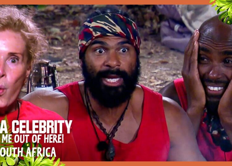 Campmates challenge David Haye’s views | I’m A Celebrity… South Africa 2026