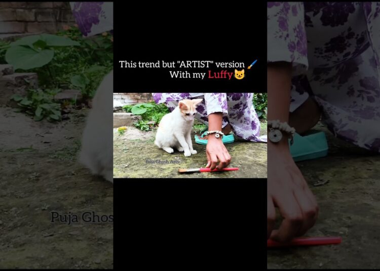 Artist Trend with my LUFFY 😺 #artist #trend #trendingshorts #shorts #shortvideo