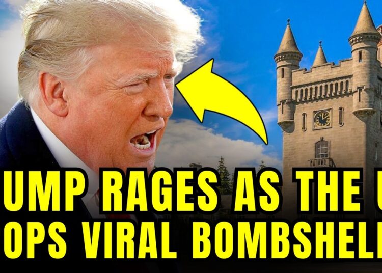 WATCH: Trump SHOCKED As UK Royalty Just CONDEMNED HIM🚨