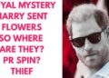 HARRY’S LATEST WINDSOR MYSTERY ..WHAT IS THE TRUTH? #royal #princeharry #britishroyalfamily