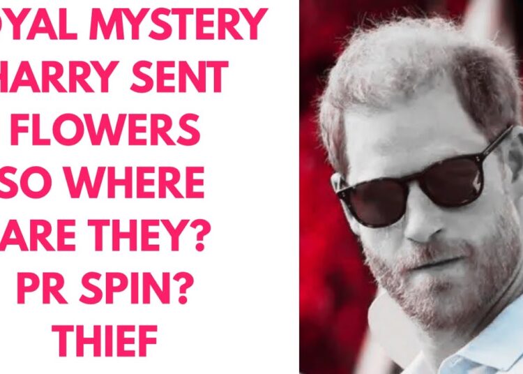 HARRY’S LATEST WINDSOR MYSTERY ..WHAT IS THE TRUTH? #royal #princeharry #britishroyalfamily