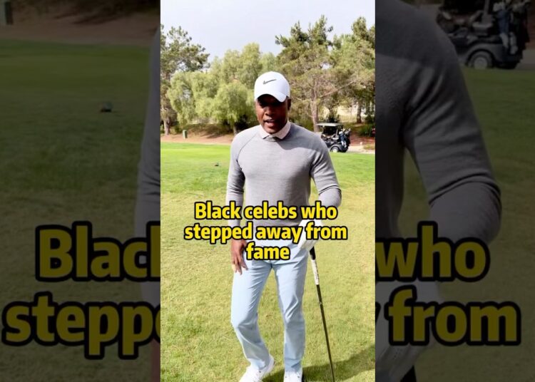 Black celebs who stepped away from fame #black #celebrity #gossip #drama #america