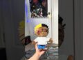 Comment “RAP” If you want one!😳 #hellokitty #plushies #artist #cute #shorts #trending