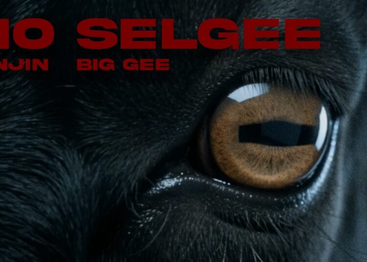 Ginjin ft. Big Gee – No Selgee ( Official Music Video )