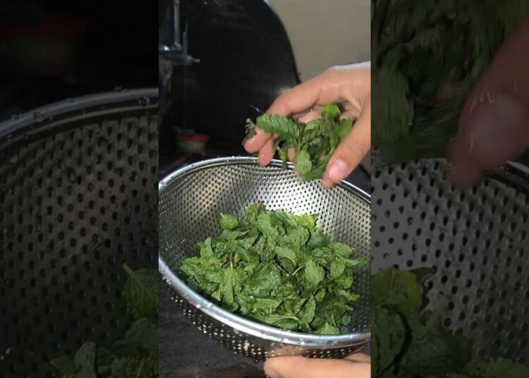 chapati gossips 😂🤩#dailyshorts #mintjuice #summerdrink #youtubeshorts #foryou #cooking #fyp