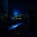 AURORA – Runaway  |Lyrics  |Aesthetic |Slowed |English Songs |Trending |Music #runaway#aurora