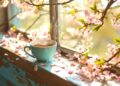 “Spring Windows” Beautiful Relaxing Music, Peaceful Soothing Instrumental Music by Tim Janis