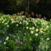 A spring in your step and songs for the new season