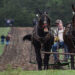 mule teams work