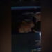 Video Player Placeholder