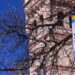A banner on USU