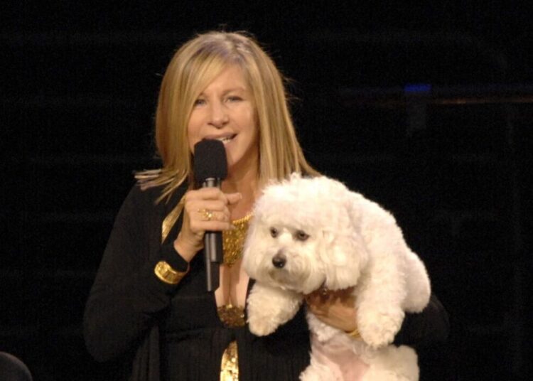 Barbra Streisand spent staggering amount cloning her dog - Celebrity News - Entertainment