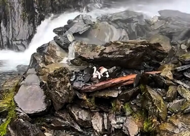 'Bear Grylls Is Running Wild' Season 1 is here. When, how to watch
