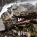 'Bear Grylls Is Running Wild' Season 1 is here. When, how to watch