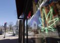 Cannabis stores on State Street face a hazy future | Entertainment