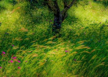 Celebrate 'Spring!' at the Crowell Gallery | Entertainment