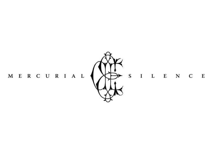 Stereogum home