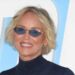 Sharon Stone has been said to feel deeply affected by her experience on 'Basic Instinct.'MEGA