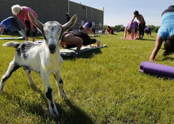 Fond du Lac County Fair 2026 grandstand lineup — MJ Live, Trace Adkins