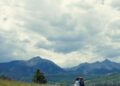 Foraging for mushrooms and meaning | Arts & Entertainment