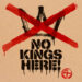 Stereogum home