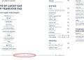 The New Year's Day menu at Lucky Cat with the 20 per cent discretionary service charge (Lucky Cat)