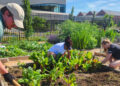 Hershey Entertainment & Resorts Celebrates Earth Day 2026