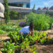 Hershey Entertainment & Resorts Celebrates Earth Day 2026