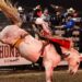 Hondo Rodeo Fest is a Superdome country extravaganza | Entertainment/Life