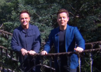 Ant and Dec in I'm A Celebrity... South Africa