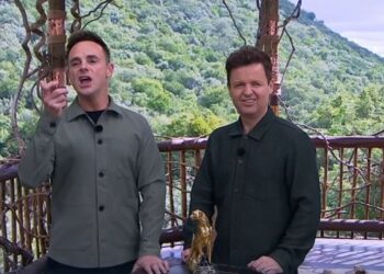 Ant and Dec