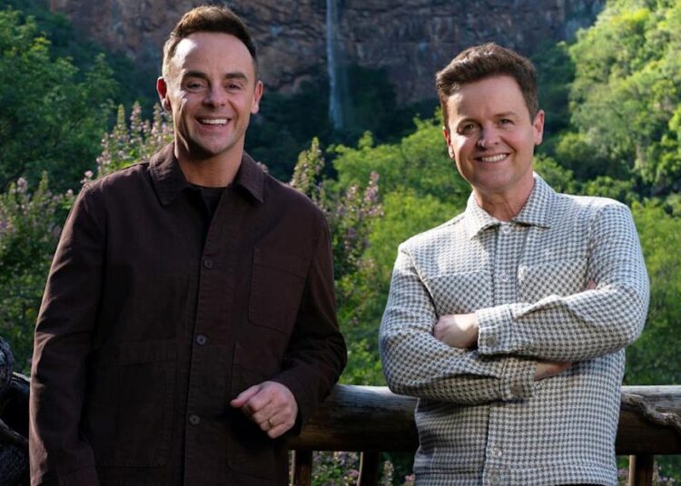 two individuals standing on a wooden railing with a mountainous landscape in the background