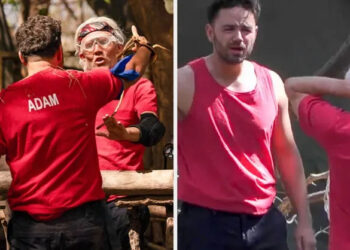 Adam Thomas and Jimmy Bullard had it out during Tuesday's instalment of I'm A Celebrity: South Africa