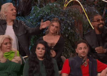 I’m a Celebrity South Africa Final erupts into chaos as Ant and Dec step in