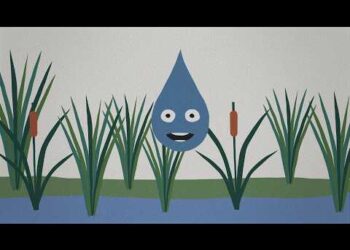 It’s me, Raindrop, here to drop some knowledge on how each of us can protect communities and the planet using our very own superpower… the Power of Nature! Voiced by actor and nature enthusiast Rainn Wilson, Raindrop is here to share how natural solutions can be a smart, simple and powerful way to protect water so people and nature can thrive together.