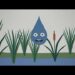 It’s me, Raindrop, here to drop some knowledge on how each of us can protect communities and the planet using our very own superpower… the Power of Nature! Voiced by actor and nature enthusiast Rainn Wilson, Raindrop is here to share how natural solutions can be a smart, simple and powerful way to protect water so people and nature can thrive together.