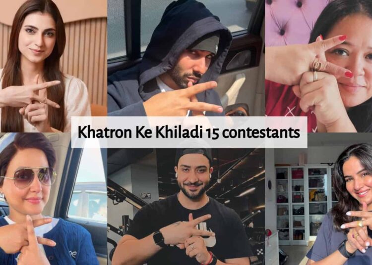 Khatron Ke Khiladi 15 contestants