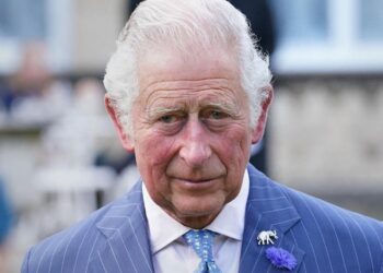 King Charles Doing What He Shouldn't Due to One Big Fear — Source