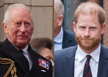 King Charles to Meet with Anna Wintour & Martha Stewart Instead of Prince Harry