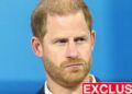 King's state visit could see Harry make 'surprising' move - Celebrity News - Entertainment