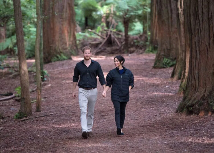 Prince Harry and Meghan Markle walking in the woods