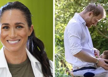 Meghan Markle Posts a Rare Video of Archie With Prince Harry