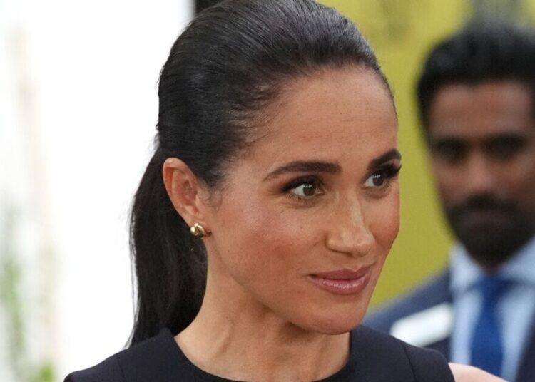 Meghan Markle blasted for ‘not making progress’ as Duchess warned | Royal | News