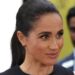 Meghan Markle blasted for ‘not making progress’ as Duchess warned | Royal | News