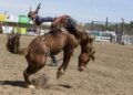 Competition during the Oakdale Rodeo's 68th year in 2019.