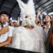 Photo highlights from the Coachella Music and Arts Festival | Entertainment