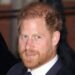 Prince Harry has spoken about being forced to 'cleanse himself of the past' before he became a father during mental health event Down Under.MEGA