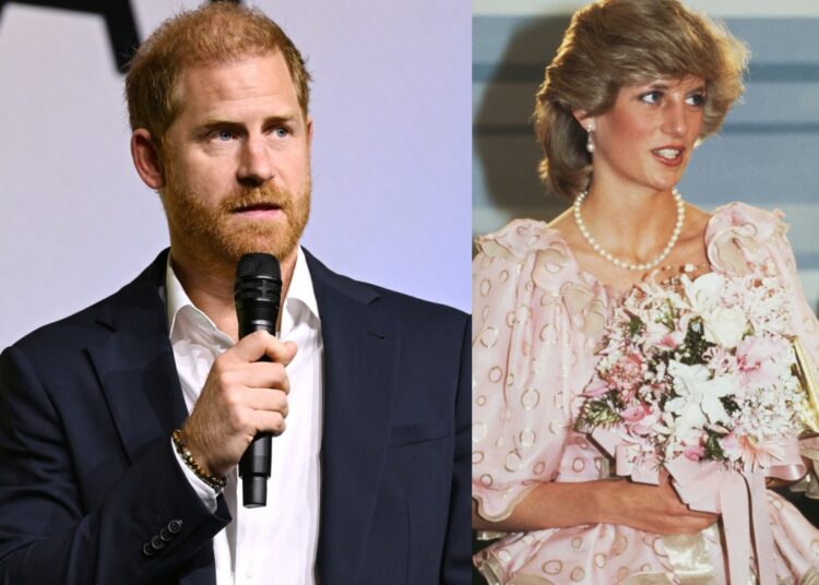 Prince Harry Shares Insight Into What 'Killed' Princess Diana